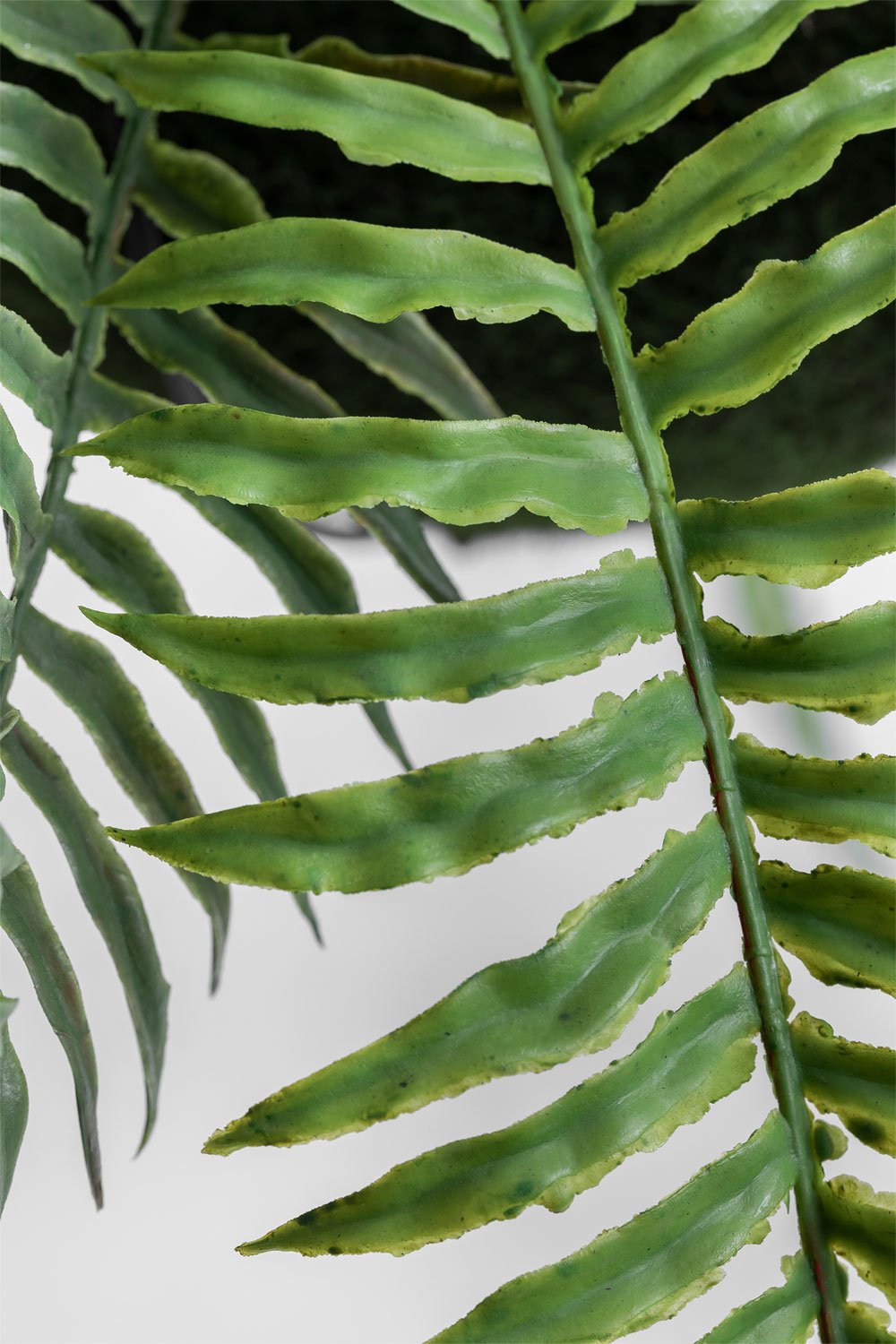 Pianta pensile artificiale decorativa di felce