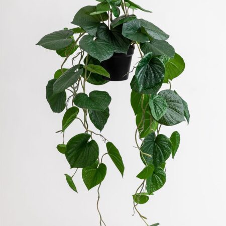 Pianta pensile artificiale decorativa Potus