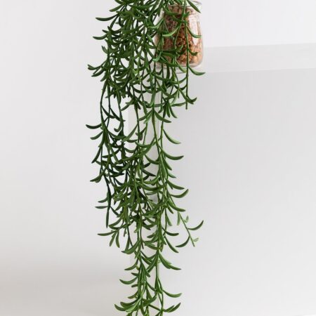 Pianta pensile artificiale decorativa Senecio Radicans