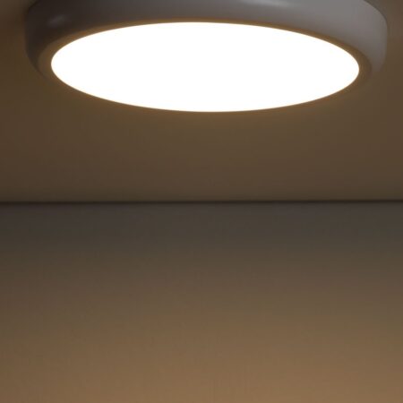 Plafoniera LED Tarik in alluminio Ø30 cm