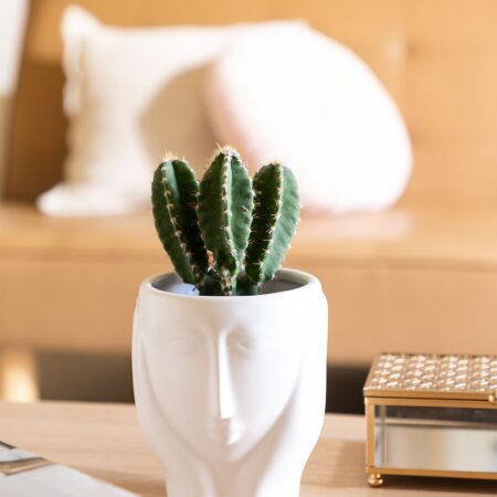 Vaso in Ceramica Liv