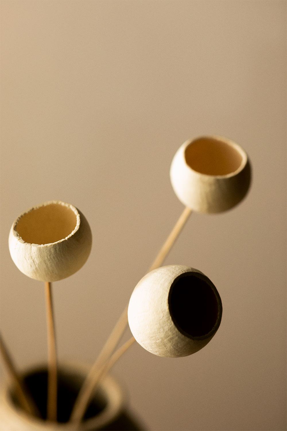 Confezione da 5 rami secchi decorativi di Aegle