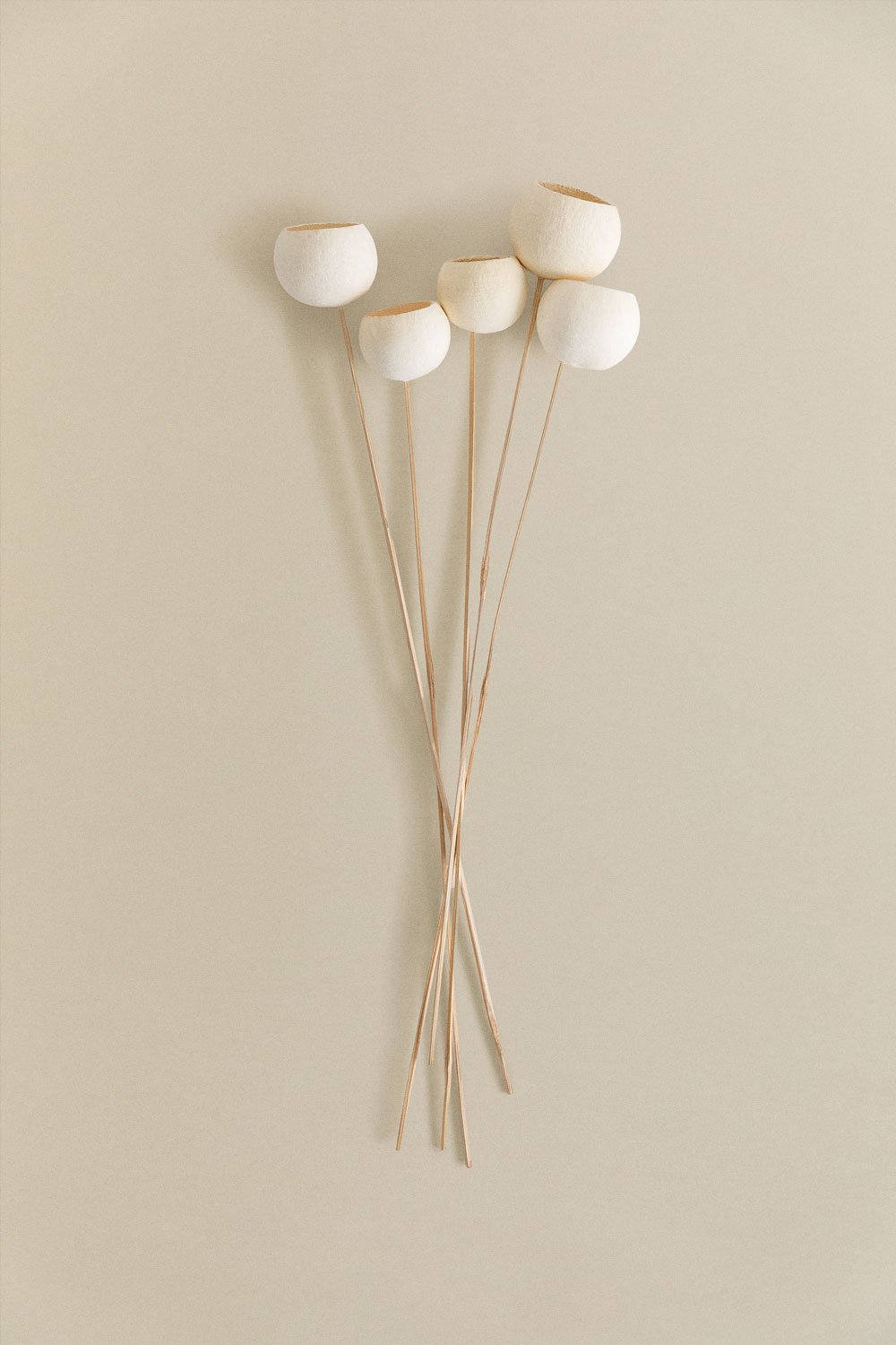 Confezione da 5 rami secchi decorativi di Aegle