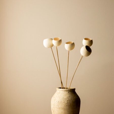 Confezione da 5 rami secchi decorativi di Aegle