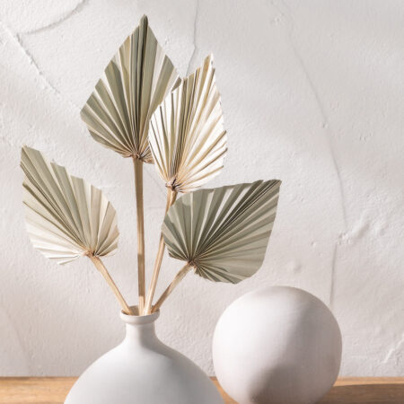 Confezione da 6 rami secchi decorativi Beliefe