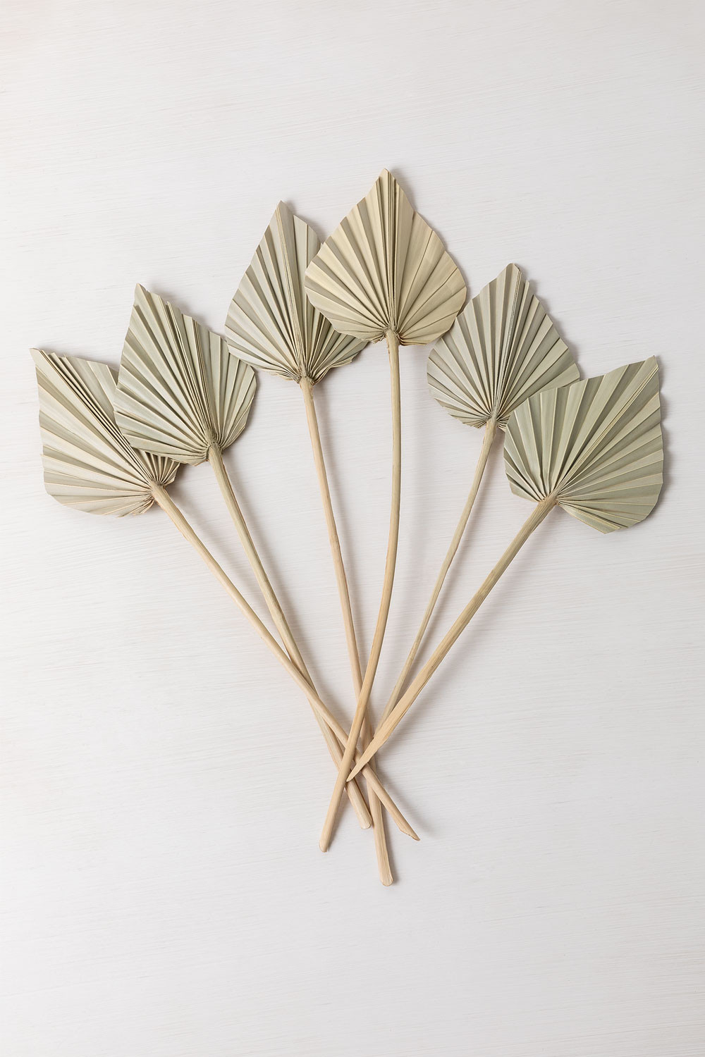 Confezione da 6 rami secchi decorativi Beliefe