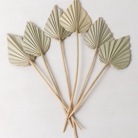Confezione da 6 rami secchi decorativi Beliefe