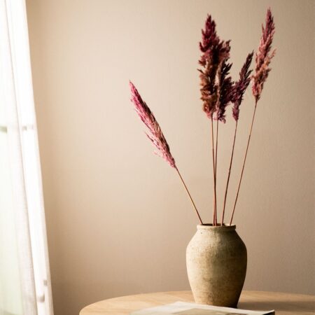 Confezione da 5 rami secchi decorativi Dagrai