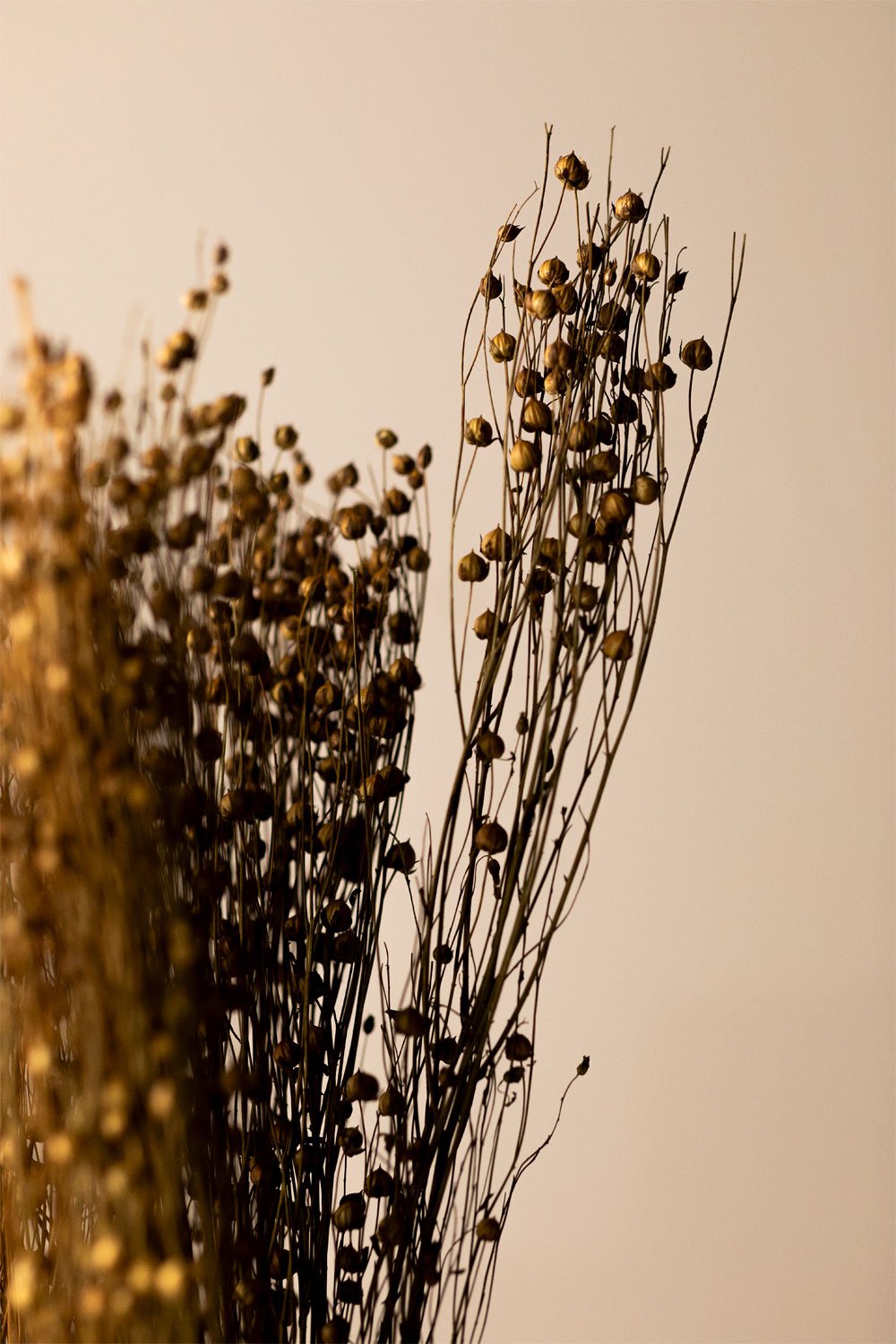 Bouquet decorativo di fiori secchi Bairad