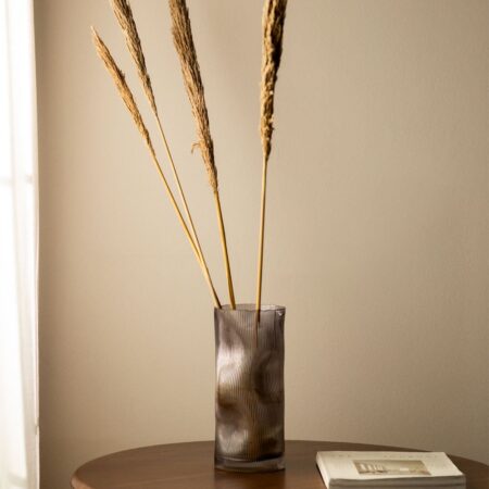 Confezione da 4 rami secchi decorativi Pampy