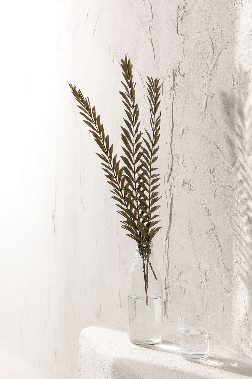 Confezione da 10 rami secchi decorativi Sarat