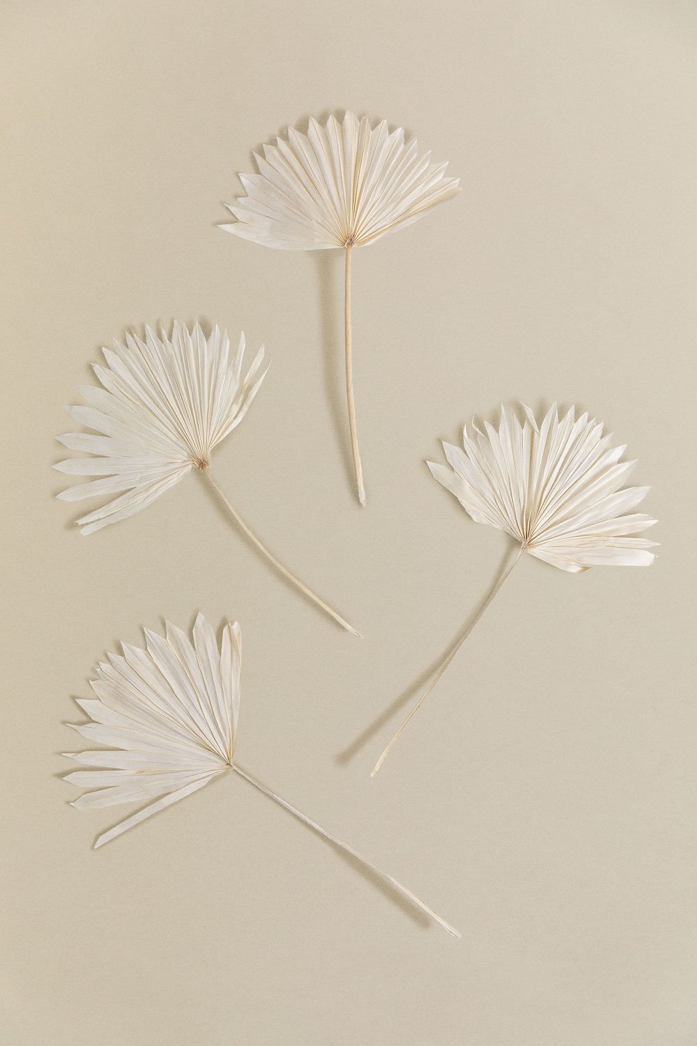 Confezione da 4 rami secchi decorativi Urpek
