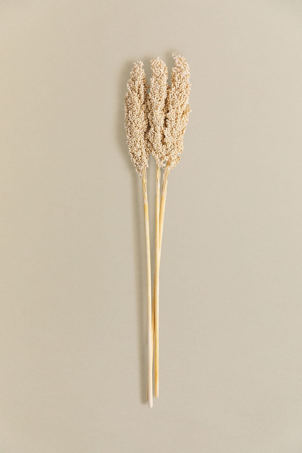Confezione da 3 rami decorativi Marbia