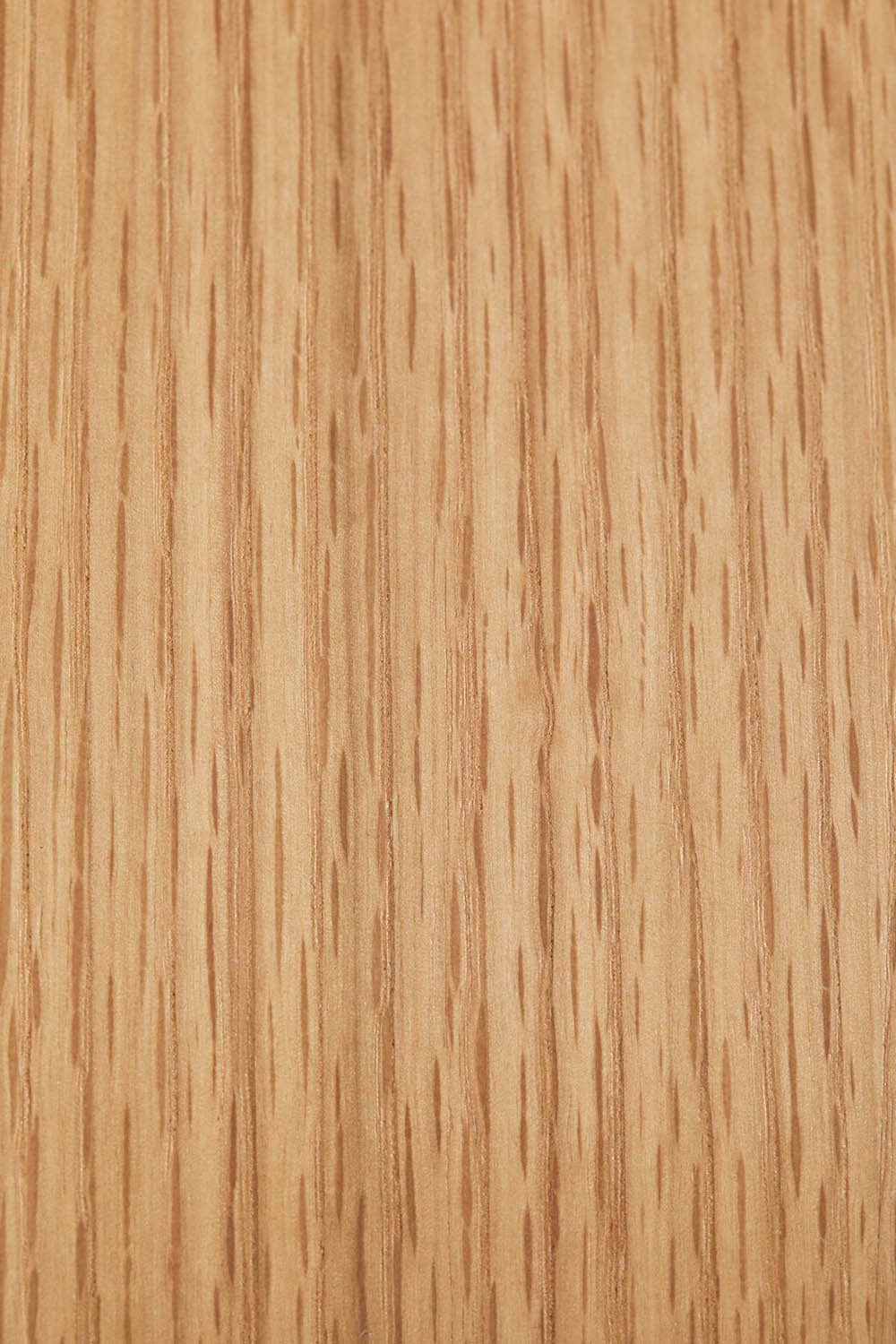 Sedia da pranzo in legno Elionora