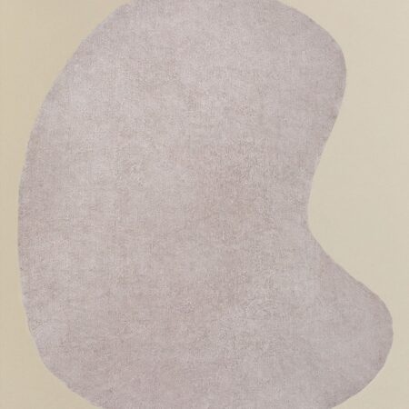 Tappeto in cotone (290x250 cm) Francine