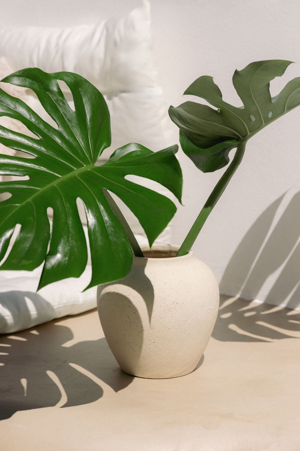 Vaso in ceramica di Bronte