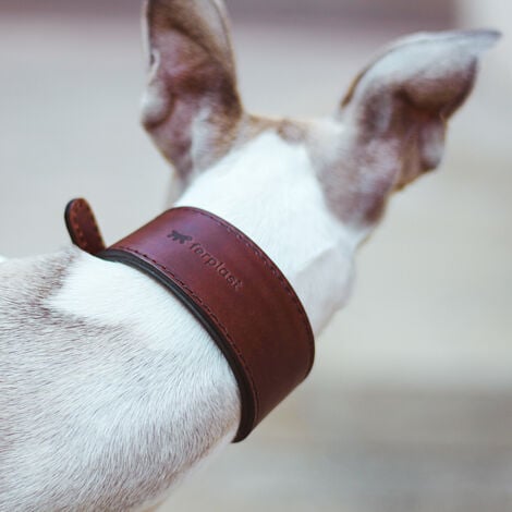 Ferplast VIP CW Collare in cuoio di toro per cani Levriero - 3 misure. Variante CW15/32 - Misure: A: 26-32 cm B: 15 mm - Marrone