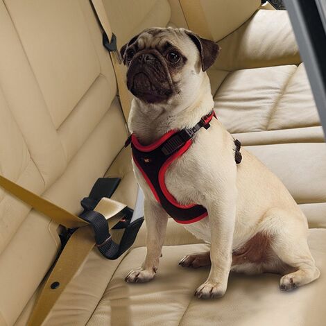 Ferplast DOG TRAVEL BELT Cintura di sicurezza regolabile per cani di piccola e media taglia . Variante DOG TRAVEL BELT - Misure: 40 mm x L 50 cm -