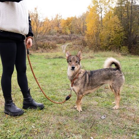 Ferplast Sport Reflex Matic G Guinzaglio riflettente per cani con moschettone automatico.. Variante 13/120 - Misure: Ø 13 mm x L 120 cm - Nero