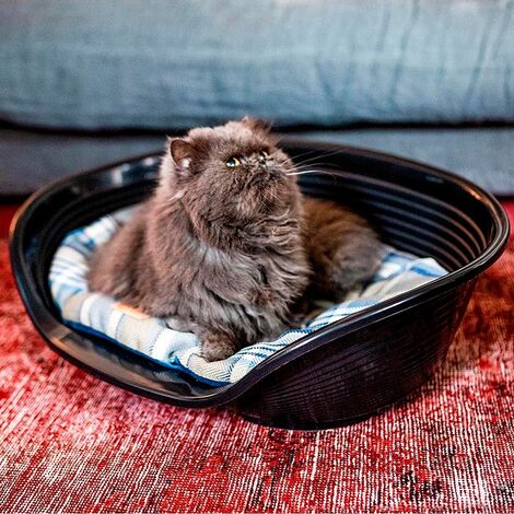 Ferplast SCOTT Cuscino double-face per cani e gatti. In vari colori e misure.. Variante 55/4 - Misure: 55 x 36 cm - Marrone