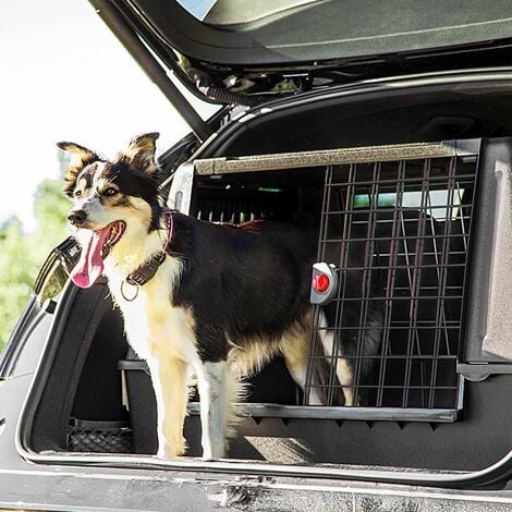 Ferplast ATLAS CAR SCENIC Trasportino per cani da auto. Varie misure.  . Variante 100 - Misure: 100 x 60 x h 66 cm - Nero