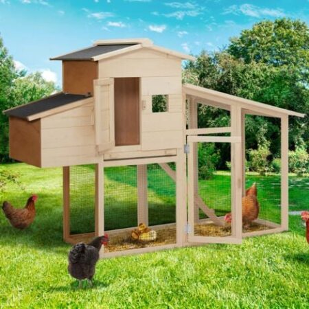 Pollaio con cassetta nido in legno per 2-3 polli COMFORT