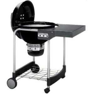 Barbecue A Carbone Performer Gbs 57 Cm