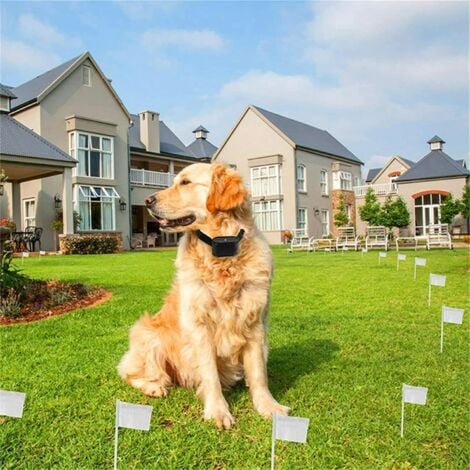 Recinto elettronico per cani, collare remoto per addestramento da uno a tre cani, sistema di contenimento elettrico sotterraneo per cani, innocuo per tutti i cani.