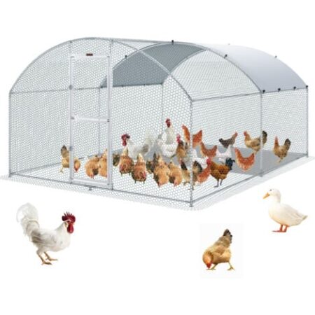 VEVOR Recinto per Galline in Metallo per Esterni 400x300x200 cm, Gabbia per Pollame Telone Impermeabile Tetto Cupola, Recinto per Galline Doppia Porta Rete Metallica per Oche, Anatre, Conigli, Pollame