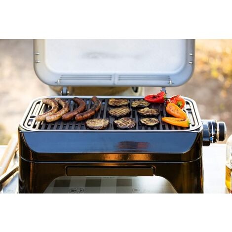 BARBECUE A GAS CAMPINGAZ ATTITUDE 2GO CV