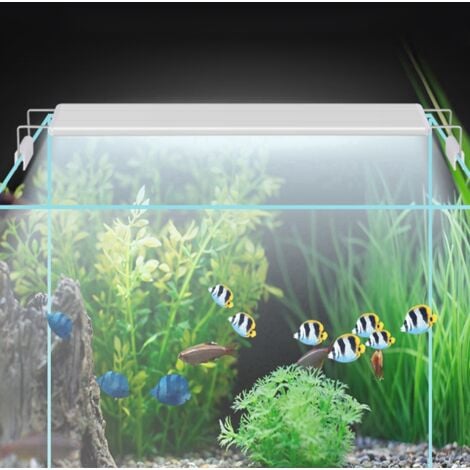 Eosnow Lampada a LED ad alta luminosità con spina europea 200-240 V 13 W con staffa per illuminazione dell'acquario