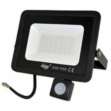 FARO LED FARETTO GIARDINO 50W LUCE FREDDA SENSORE MOVIMENTO CREPUSCOLARE