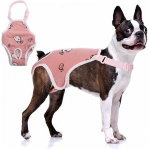 M Mutandine sanitarie con sospensione, pantaloni fisiologici per animali domestici, biancheria intima femminile comoda e regolabile, slip in cotone traspirante per cani di peluche