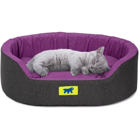 Ferplast DANDY COLOURS Ferplast Cuccia Cane e Gatto da Interno, in Cotone con Cuscino Removibile DANDY. Variante 45 - Misure: 45 x 35 x h 13 cm - Viola