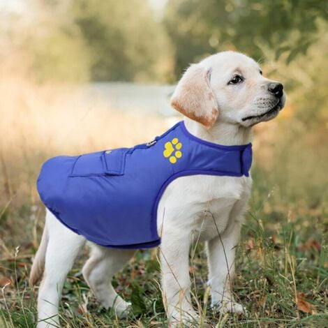 Cappotto impermeabile blu (M) per cani, giacca antivento reversibile per cani, gilet caldo, giacca per escursioni all'aperto per cani piccoli e medi