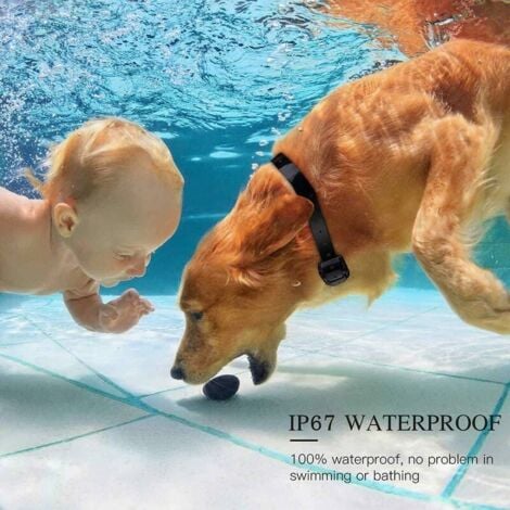 Doppio collare da addestramento per cani impermeabile e ricaricabile IP67 con portata di 800 m con 99 livelli di vibrazione, scossa elettrica, modalità audio.
