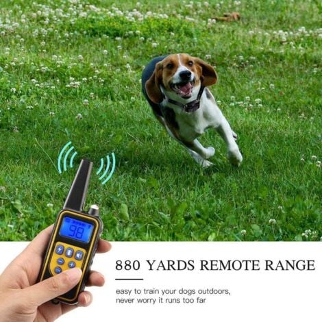Doppio collare da addestramento per cani impermeabile e ricaricabile IP67 con portata di 800 m con 99 livelli di vibrazione, scossa elettrica, modalità audio.