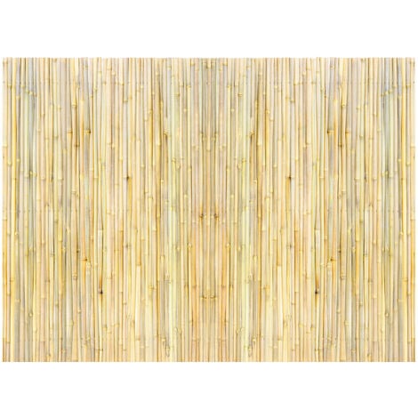 Mophorn 4 piedi x 6 piedi recinzione per la privacy in bambù, schermo di bambù arrotolato ecologico, giardino decorativo, cortile, piscina, patio, legno naturale