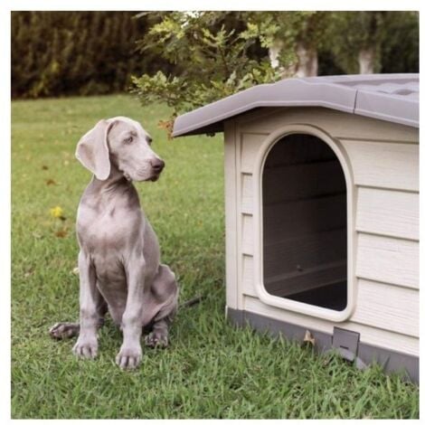 BAMA CUCCIA BUNGALOW PER ANIMALI CANE GATTO 110 X 94 X 77 CM LARGE BEIGE