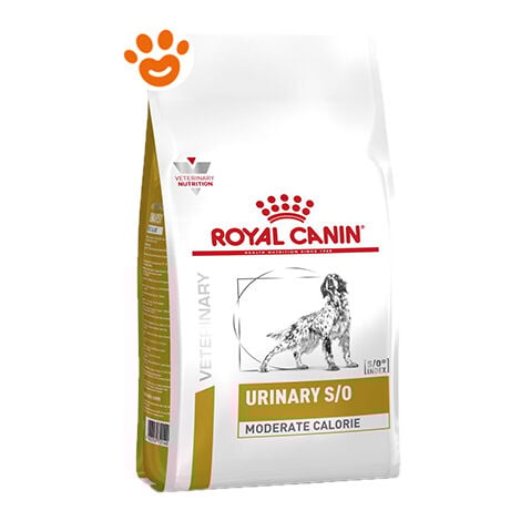 Royal Canin Dog Veterinary Diet Urinary S/O Moderate Calorie  - Royal Canin Dog Veterinary Diet Urinary S/O Moderate Calorie - Sacco Da 12 Kg