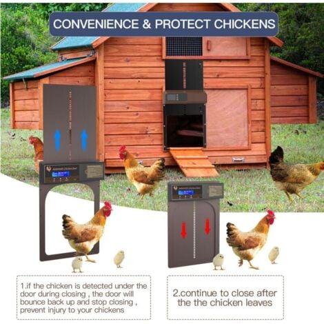Porta automatica per pollaio ad energia solare, impermeabile e durevole, porte automatiche per pollaio in alluminio con timer, IP45 per fattoria domestica