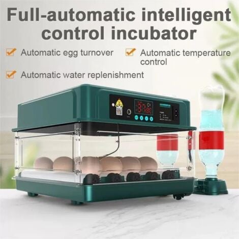Incubatrice automatica per uova, con monitor dell'umidità, rotazione automatica delle uova, aggiunta automatica di acqua e illuminazione delle uova, per la schiusa di polli, anatre, quaglie (12 uova)