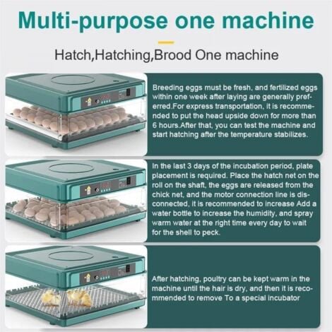 Incubatrice automatica per uova, con monitor dell'umidità, rotazione automatica delle uova, aggiunta automatica di acqua e illuminazione delle uova, per la schiusa di polli, anatre, quaglie (12 uova)
