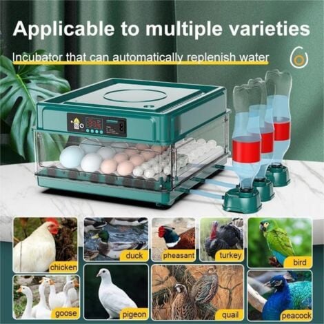 Incubatrice automatica per uova, con monitor dell'umidità, rotazione automatica delle uova, aggiunta automatica di acqua e illuminazione delle uova, per la schiusa di polli, anatre, quaglie (12 uova)