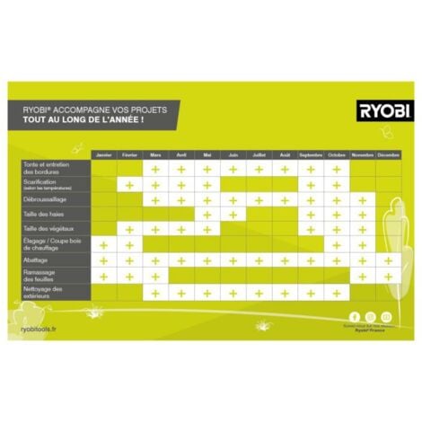 [MAI USATO] Tagliasiepi elettrico RYOBI 550W - RHT5655RS
