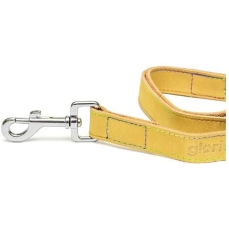 Guinzaglio per cani gloria oasis 2,1 x 100 cm giallo