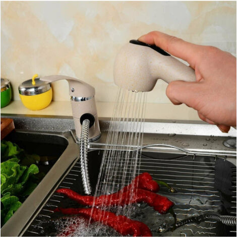 Cleafe - Rubinetto Miscelatore Monocomando Lavello Avena Doccetta Estraibile 52992 -