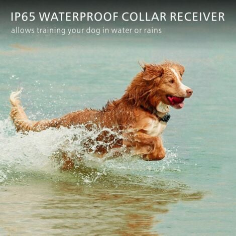 Collare da addestramento per cani ricaricabile e impermeabile IP67 con distanza di 800 m, 99 livelli di vibrazione, scossa elettrica, modalità suono.