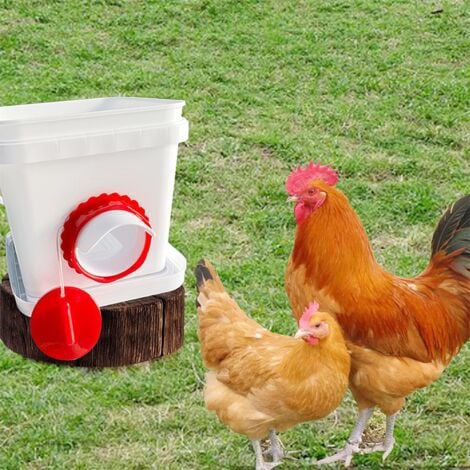 6 pezzi mangiatoia per polli, mangiatoia per polli antiparassitari, mangiatoia automatica per polli antipioggia, per secchi, barili, bidoni, scatole, mangiatoie (6)