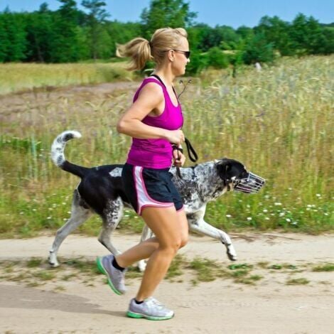 Museruola per cani in metallo Museruola per cani Anti-abbaio Anti-morso Regolabile per cani di taglia grande, media e piccola